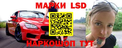 прущие грибы Ирбит