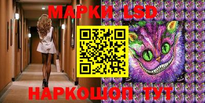 стафф Кандалакша